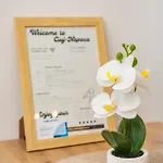 Apartman Nxn Airportstay Kolozsvár