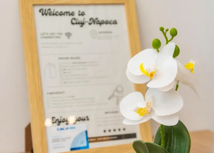 Apartman Nxn Airportstay Kolozsvár